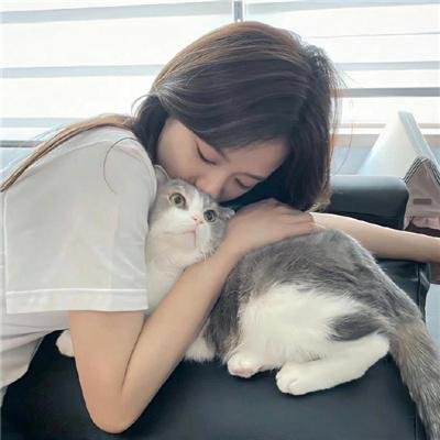 时钟机关之星